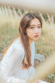 彩色二战